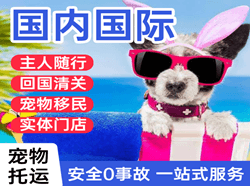 佛山沙堤空运公司国际宠物托运 【国